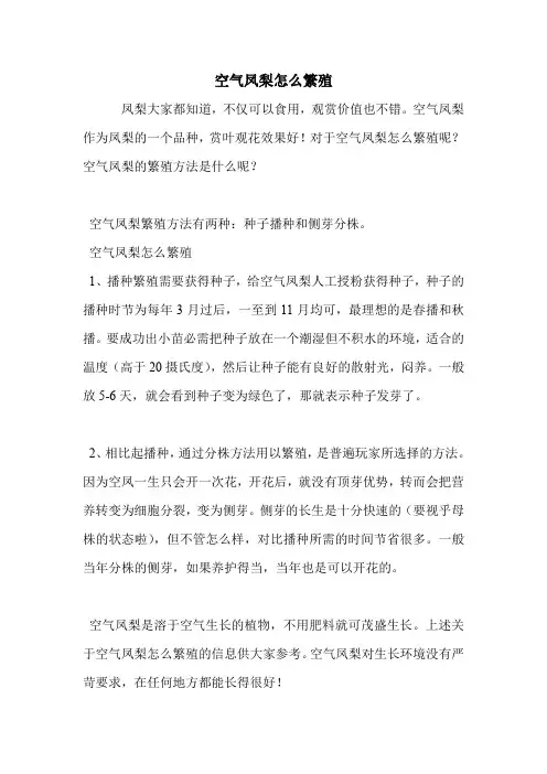 空气凤梨怎么繁殖.doc