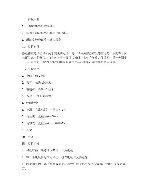 物理自制器材实验报告
