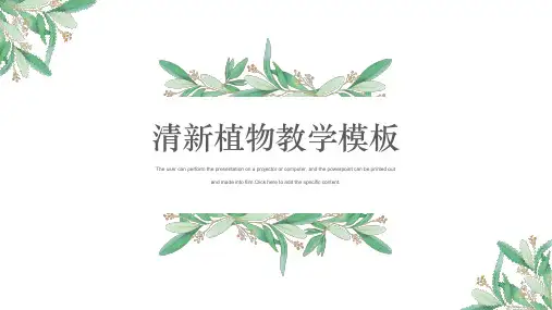 小清新教学通用PPT