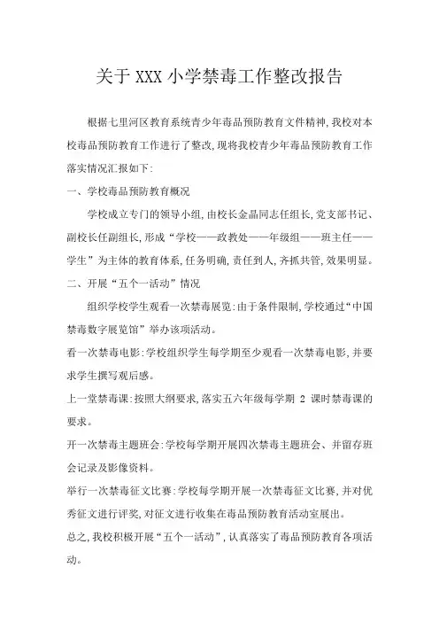 小学禁毒整改报告