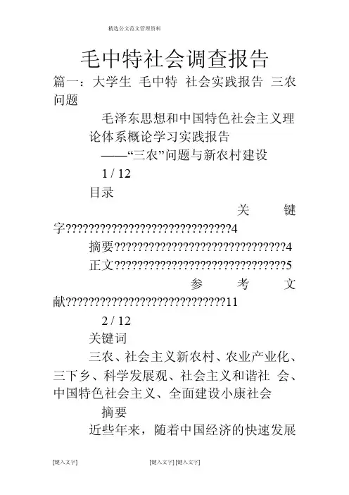 毛中特社会调查报告