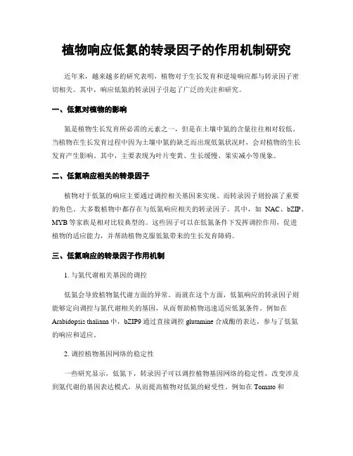 植物响应低氮的转录因子的作用机制研究
