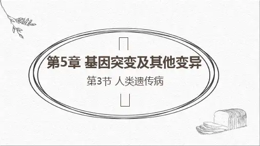 人类遗传病课件-高一下学期生物人教版(2019)必修2