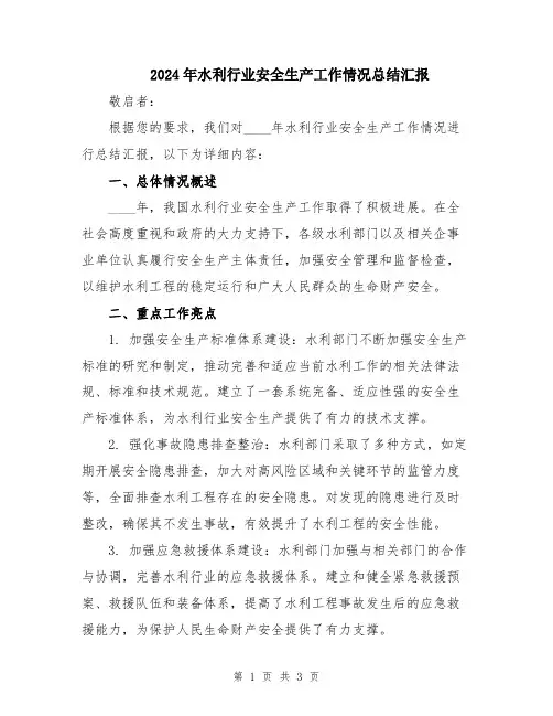 2024年水利行业安全生产工作情况总结汇报