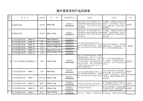 广东利泰肠外营养系列产品目录
