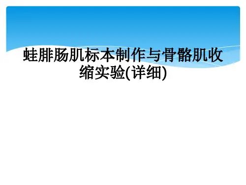 蛙腓肠肌标本制作与骨骼肌收缩实验(详细)