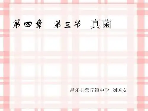 第三章 第三节真菌