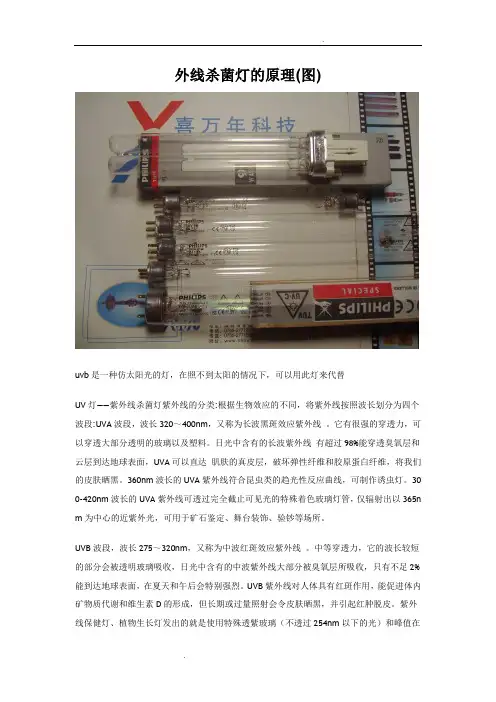 外线杀菌灯的原理及分类