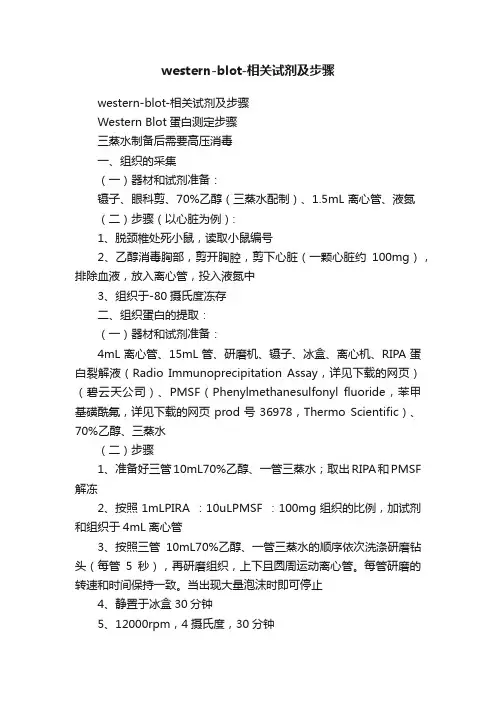 western-blot-相关试剂及步骤