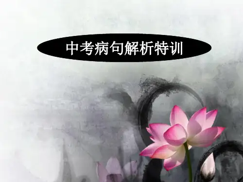 2018年最新人教版初中语文中考专题复习—病句解析PPT课件