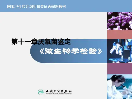 第十一章厌氧菌鉴定