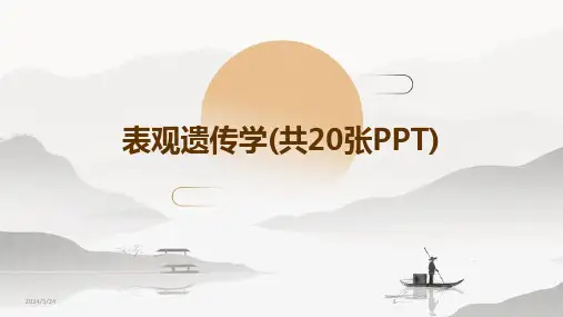 2024年度表观遗传学(共20张PPT)