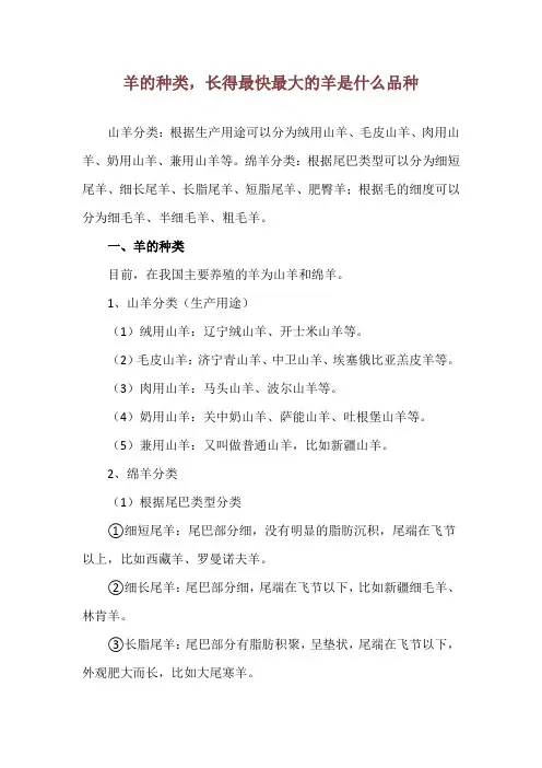 羊的种类,长得最快最大的羊是什么品种