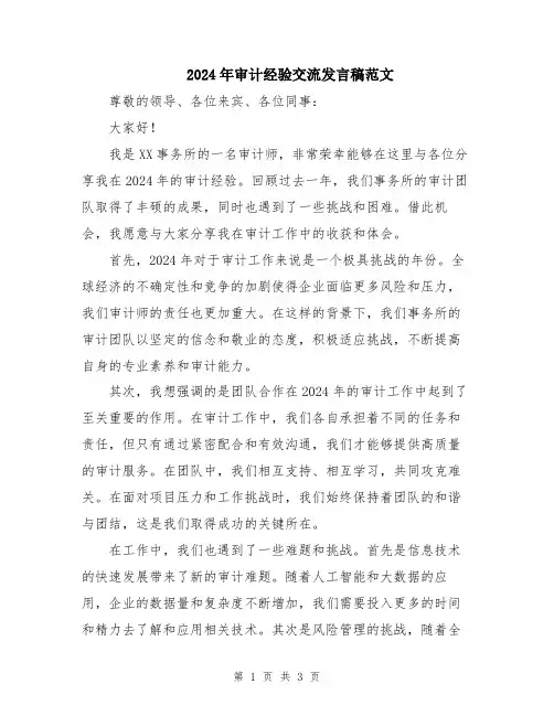 2024年审计经验交流发言稿范文