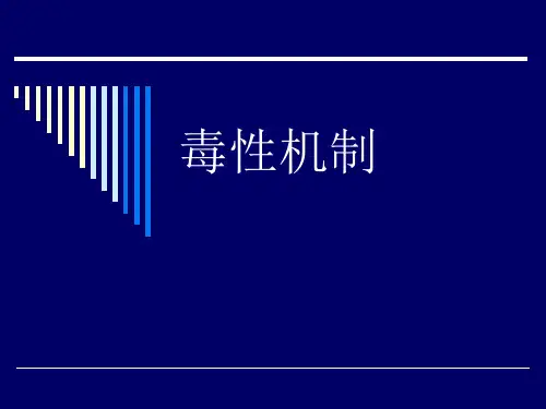 毒性机制PPT课件