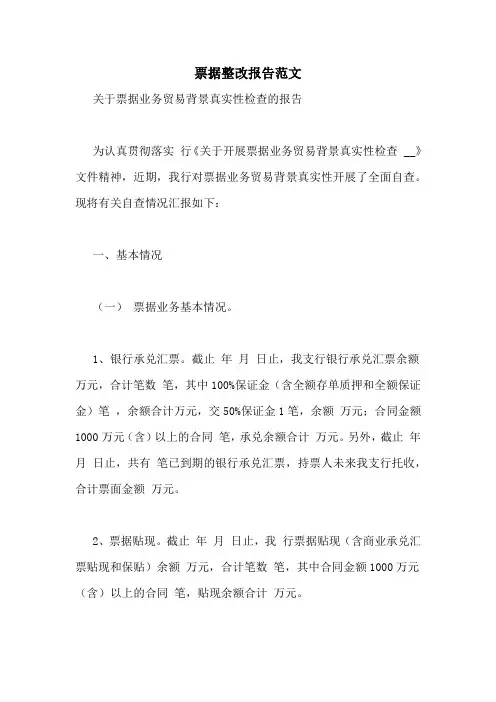 票据整改报告范文