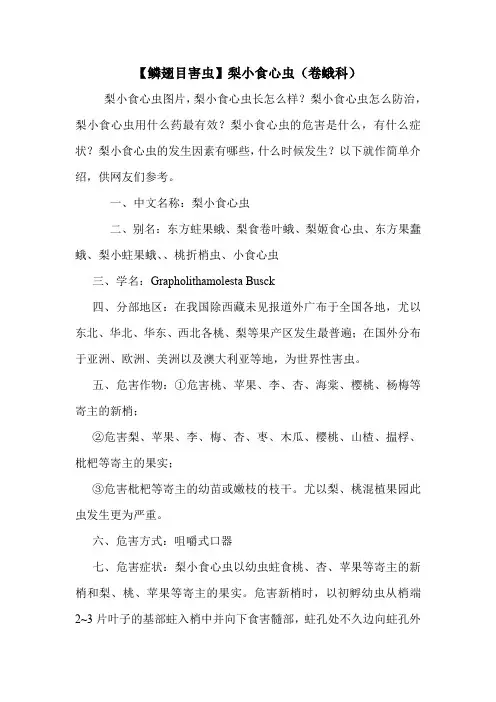 【鳞翅目害虫】梨小食心虫(卷蛾科)