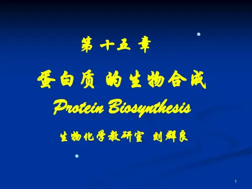 蛋白质的生物合成