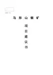 XX铜矿项目建议书