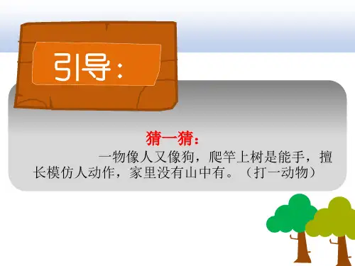 二年级下册美术课外班课件-猴子捞月 全国通用版 (共11张PPT)