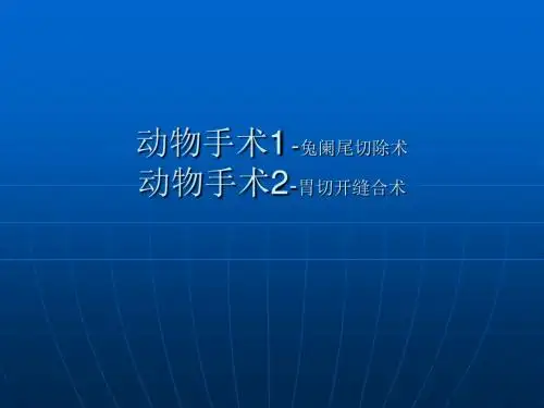 动物手术兔阑尾切除术动物手术胃切开缝合术