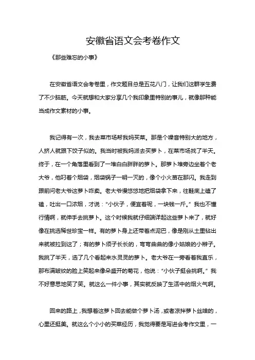 安徽省语文会考卷作文