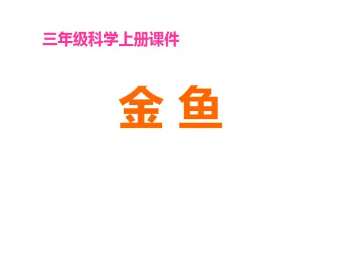 【金鱼ppt(教科版)三年级科学上册课件