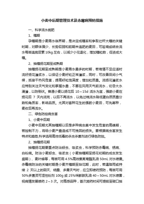 小麦中后期管理技术及赤霉病预防措施