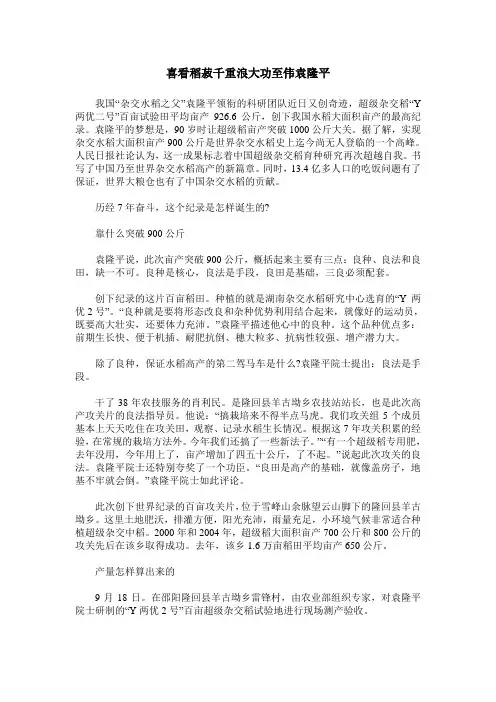 喜看稻菽千重浪大功至伟袁隆平