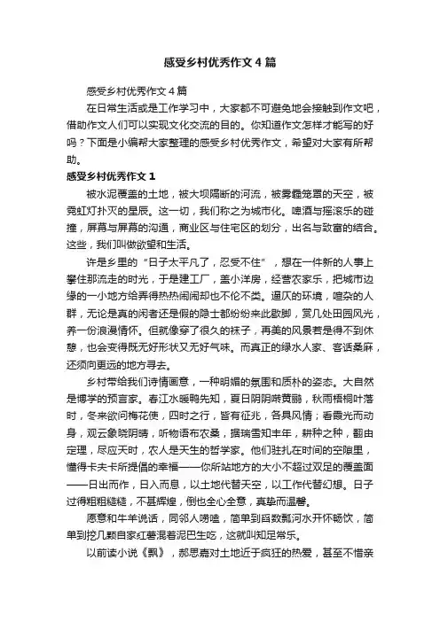 感受乡村优秀作文4篇