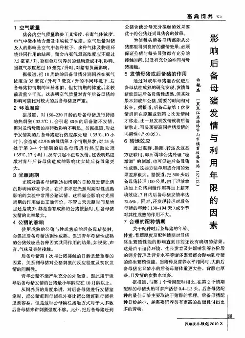 影响后备母猪发情与利用年限的因素