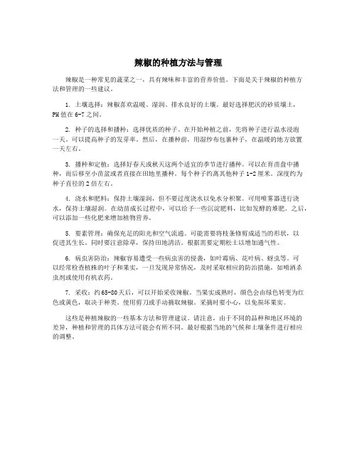 辣椒的种植方法与管理