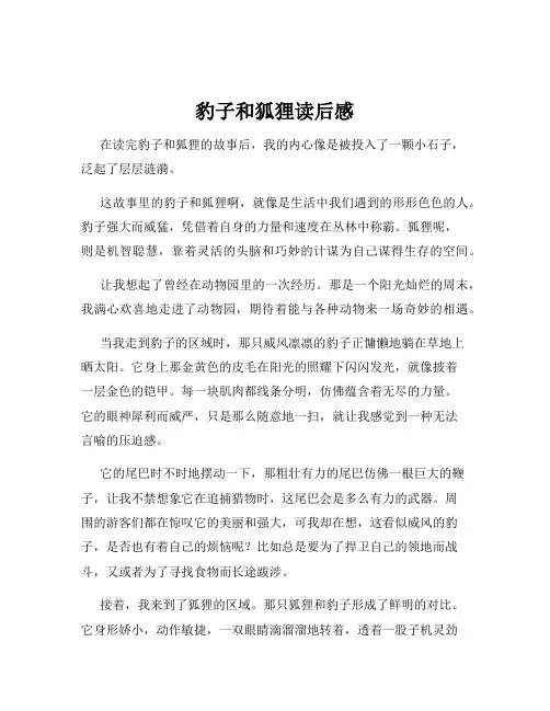 豹子和狐狸读后感