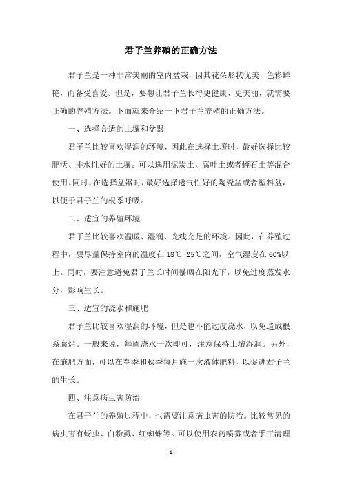 君子兰养殖的正确方法