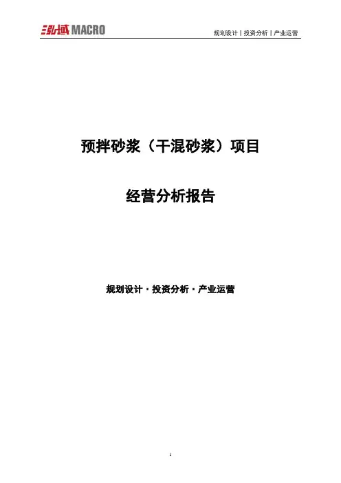 预拌砂浆(干混砂浆)项目经营分析报告