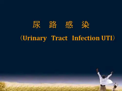 尿路感染医学院ppt课件
