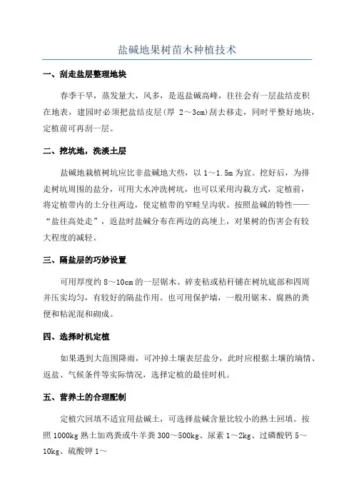 盐碱地果树苗木种植技术