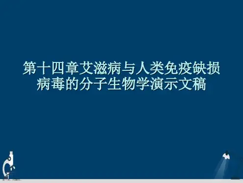 第十四章艾滋病与人类免疫缺损病毒的分子生物学演示文稿