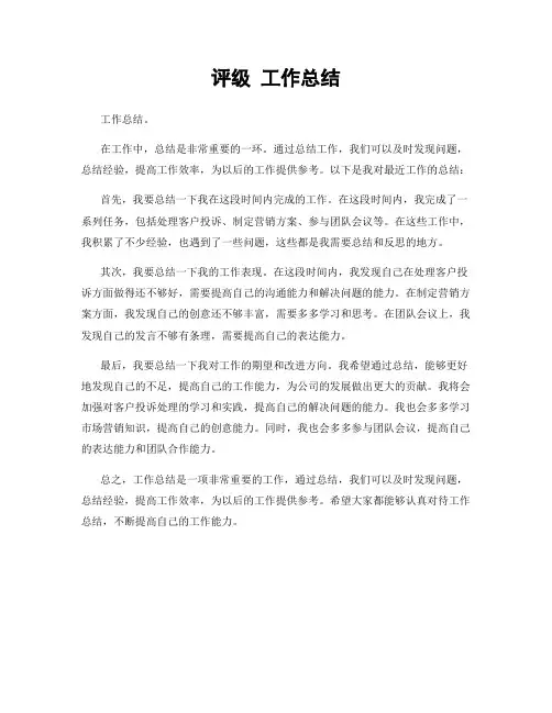 评级 工作总结