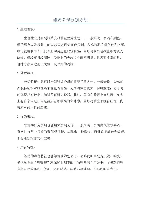 雏鸡公母分别方法