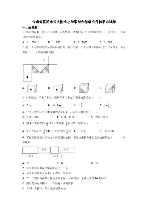 云南省昆明市云大附小小学数学六年级小升初期末试卷