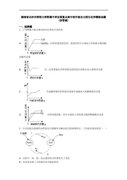 湖南省长沙市师范大学附属中学全国重点高中初升高自主招生化学模拟试题(含答案)