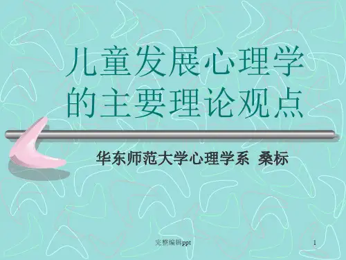 儿童心理学ppt.