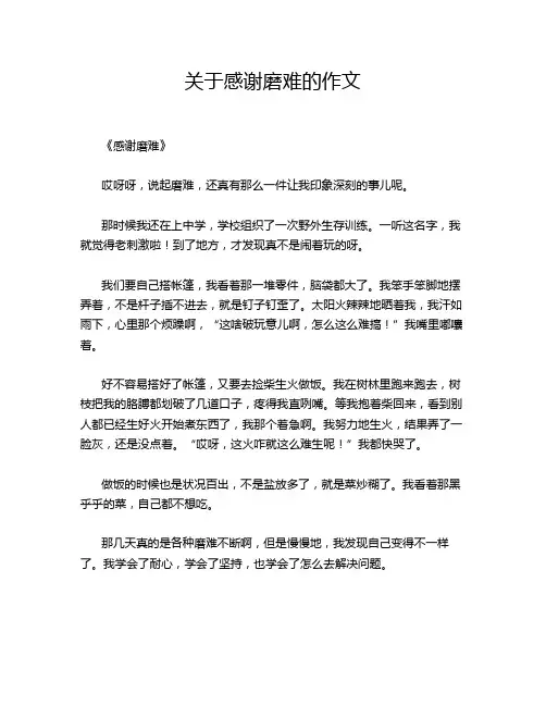关于感谢磨难的作文