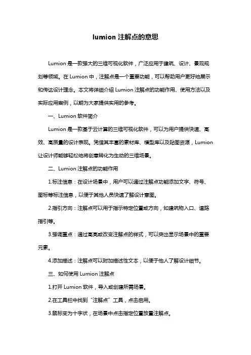 lumion注解点的意思