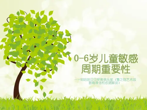0-6岁儿童敏感周期与大脑发展规律
