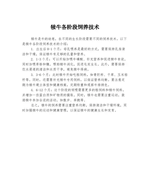 犊牛各阶段饲养技术