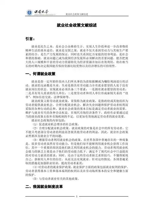 社会政策文献综述