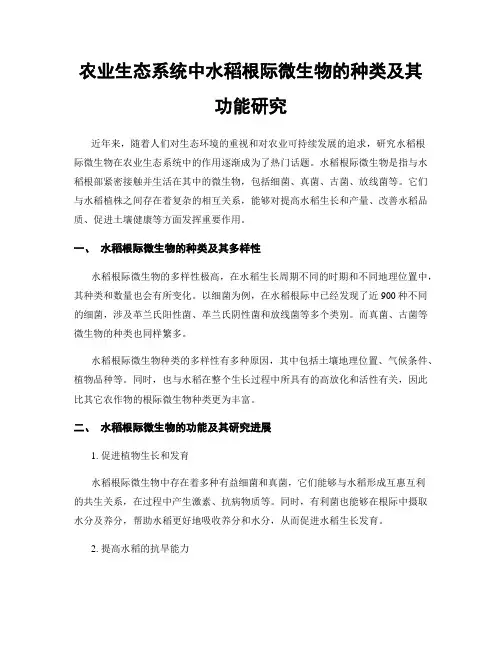 农业生态系统中水稻根际微生物的种类及其功能研究