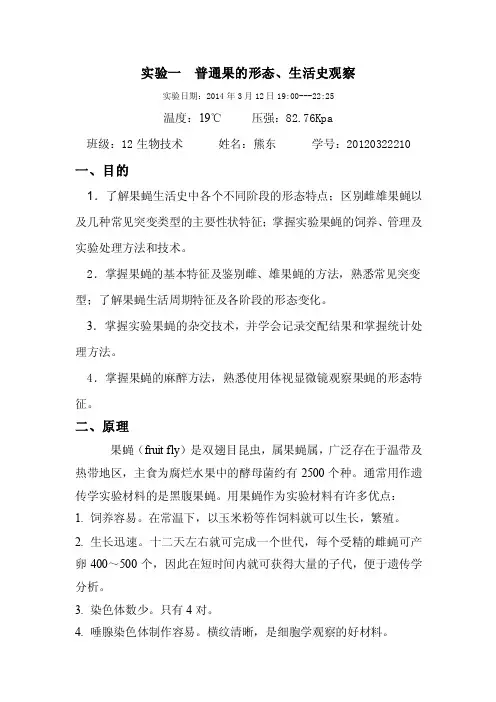 实验一普通果蝇形态与生活史观察【最新】